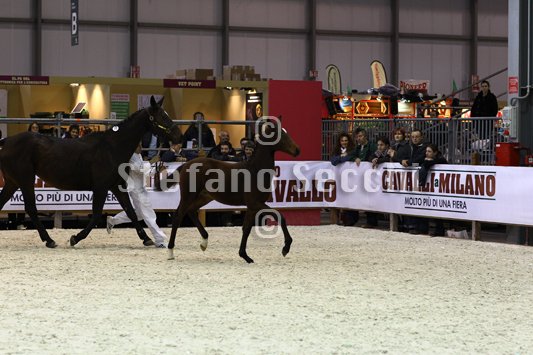 PAN CARRE_MILANO_2010_SS3_8379.jpg